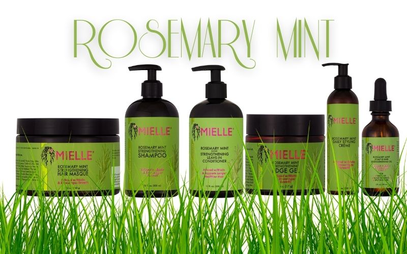 Mielle Organics les 6 meilleurs produits de la marque - rosemary Mint - tameliabeautyshop.com